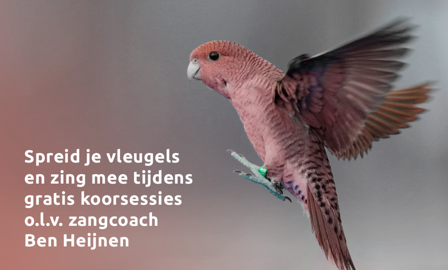 Koninklijke Zangvereniging Venlona - Koninklijke Zangvereniging Venlona